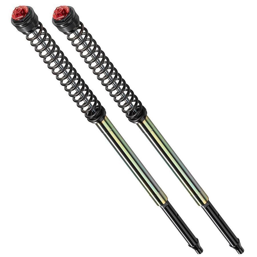KIT HORQUILLA BITUBO COMPETICION (CARTUCHOS + MUELLES + AJUSTES) SPORT Y0132ABB09WO