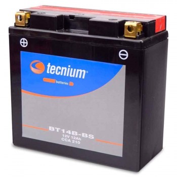 BATERIA TECNIUM BT14B-BS (SUSTITUYE 8058)   329820