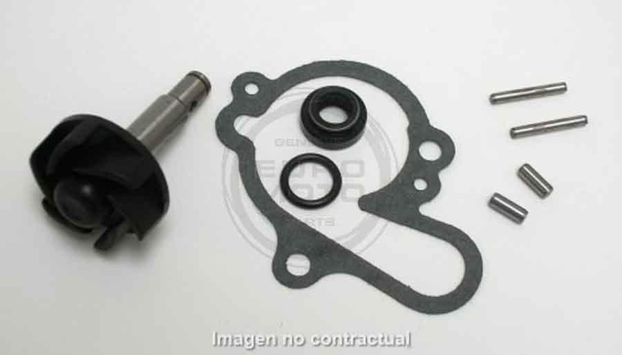 KIT REPARACION BOMBA AGUA SGR MINARELLI AM6 SGR 37282006