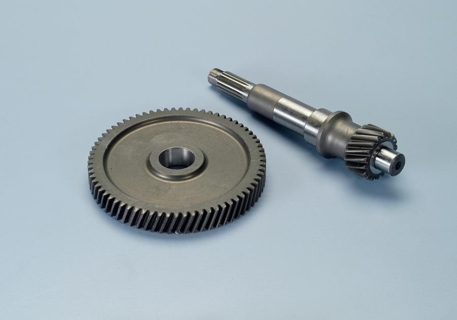 DESARROLLO POLINI SCARABEO 4T 202.1377