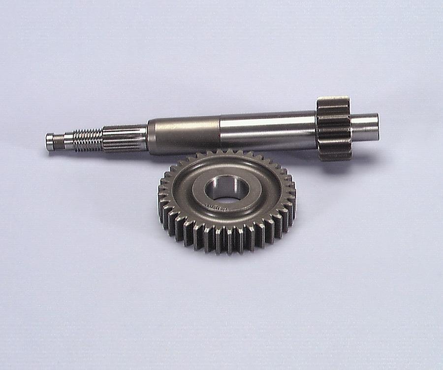 DESARROLLO POLINI PIAGGIO ZIP SP mod.2000 202.1392