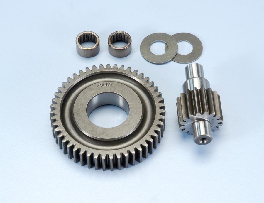 DESARROLLO POLINI PIAGGIO Z=16-47 W/BEARING 99 202.1402