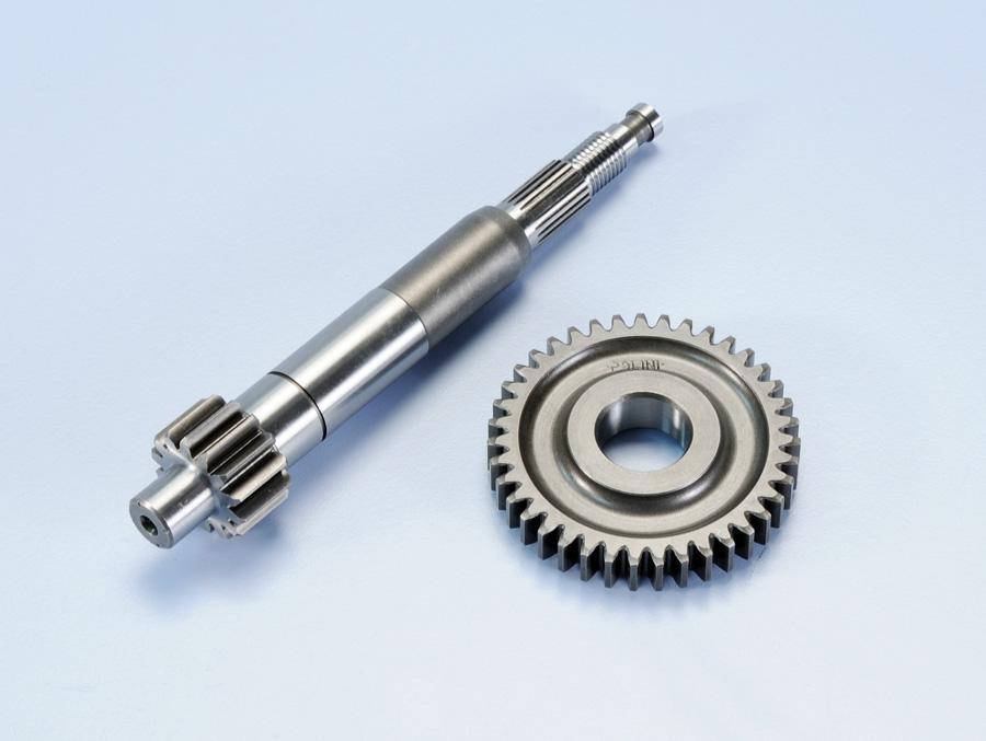 DESARROLLO POLINI PIAGGIO Z=14-39 202.1407