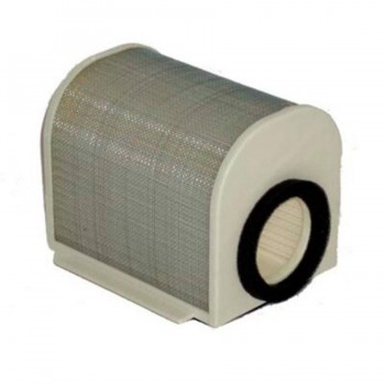 FILTRO AIRE HIFLOFILTRO HFA4906    19023