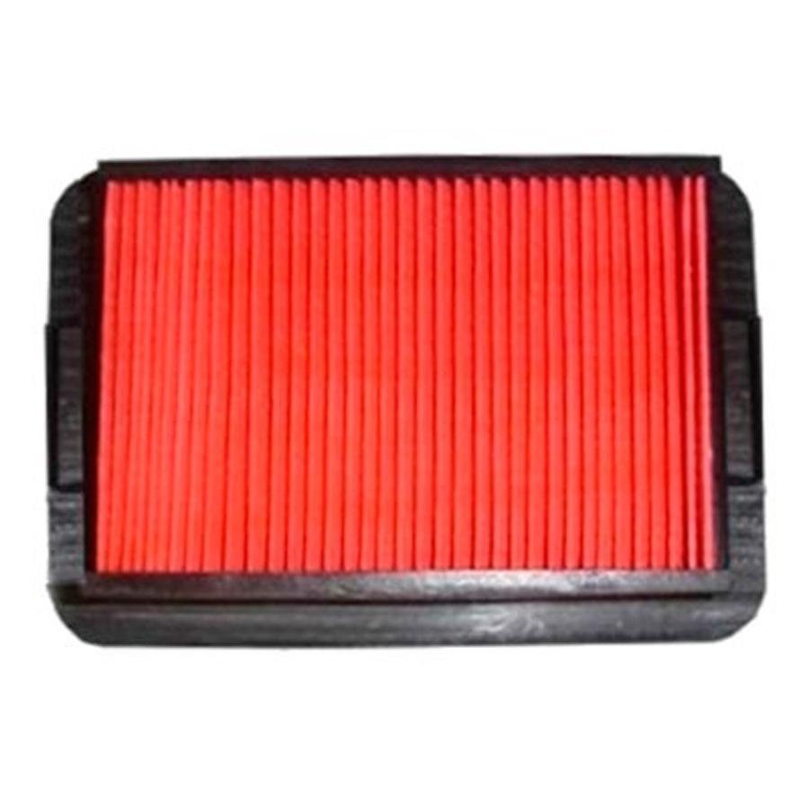 FILTRO AIRE HIFLOFILTRO HFA 4106 18980