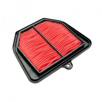FILTRO AIRE HIFLOFILTRO HFA 4917 19034