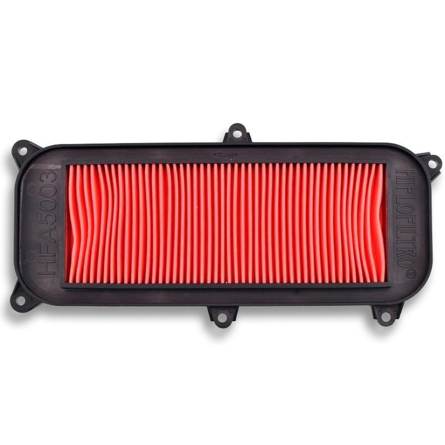 FILTRO AIRE HIFLOFILTRO HFA 5003 19040