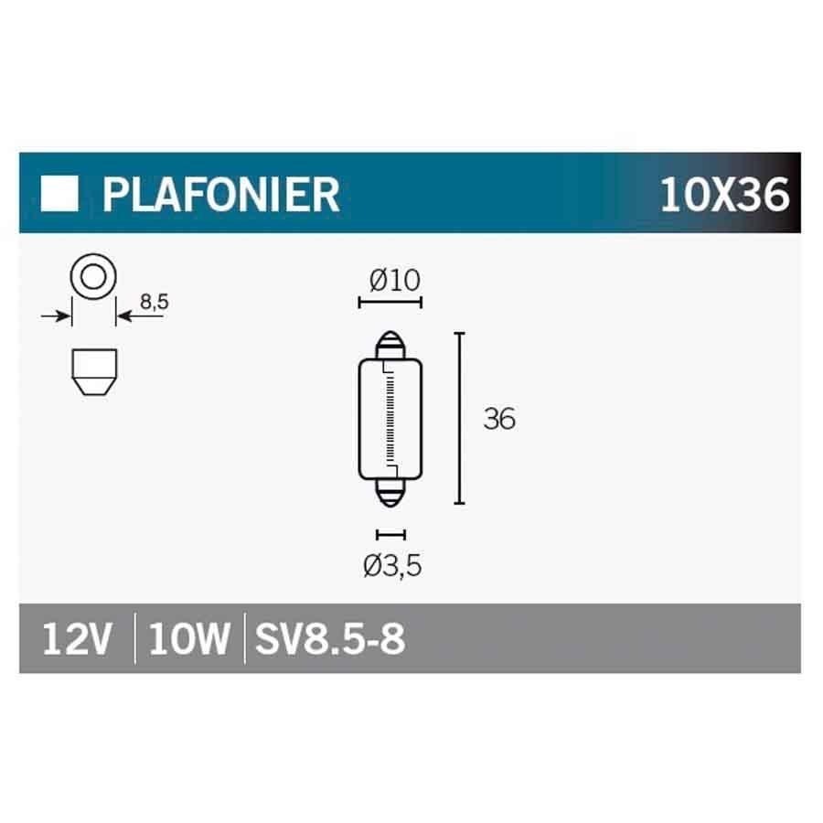 BOMBILLA LAMPARA V-PARTS (CAJA 10 UNIDADES) SV8.5-8 12V10W  SV8.5-8-12V10W   14622