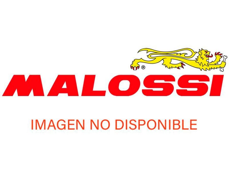 CIGÜEÑAL MALOSSI MHR TEAM MOTOR MINARELLI  5317827