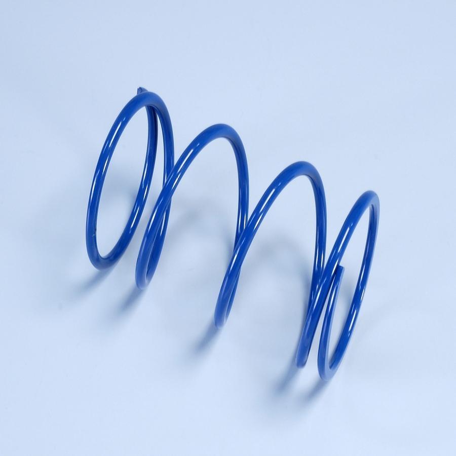 MUELLE VARIADOR POLINI SH 300  243.082