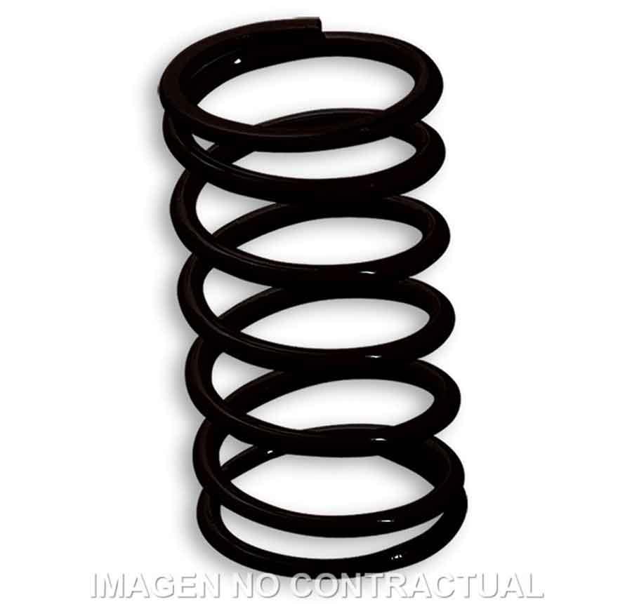 MUELLE VARIADOR MALOSSI NEGRO PIAGGIO 50     2916111B0