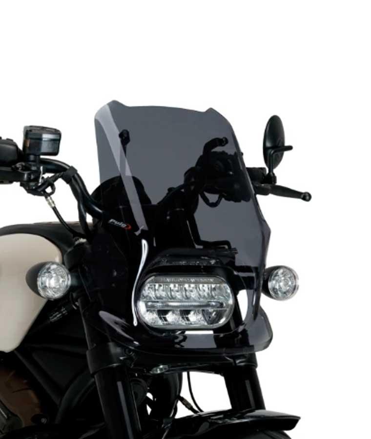 CARENABRIS NEW GENERATION SPORT HARLEY DAVIDSON SPORTST PUIG 21321F