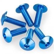KIT 6 TORNILLOS M6X20 DIAM. CABEZA 13,9MM C/AZUL PUIG 21764A