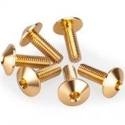 KIT 6 TORNILLOS M6X20 DIAM. CABEZA 13,9MM C/ORO PUIG 21764O
