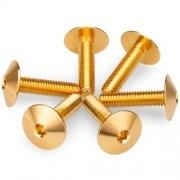 KIT 6 TORNILLOS M5X20 DIAM. CABEZA 13,9MM C/ORO PUIG 21766O