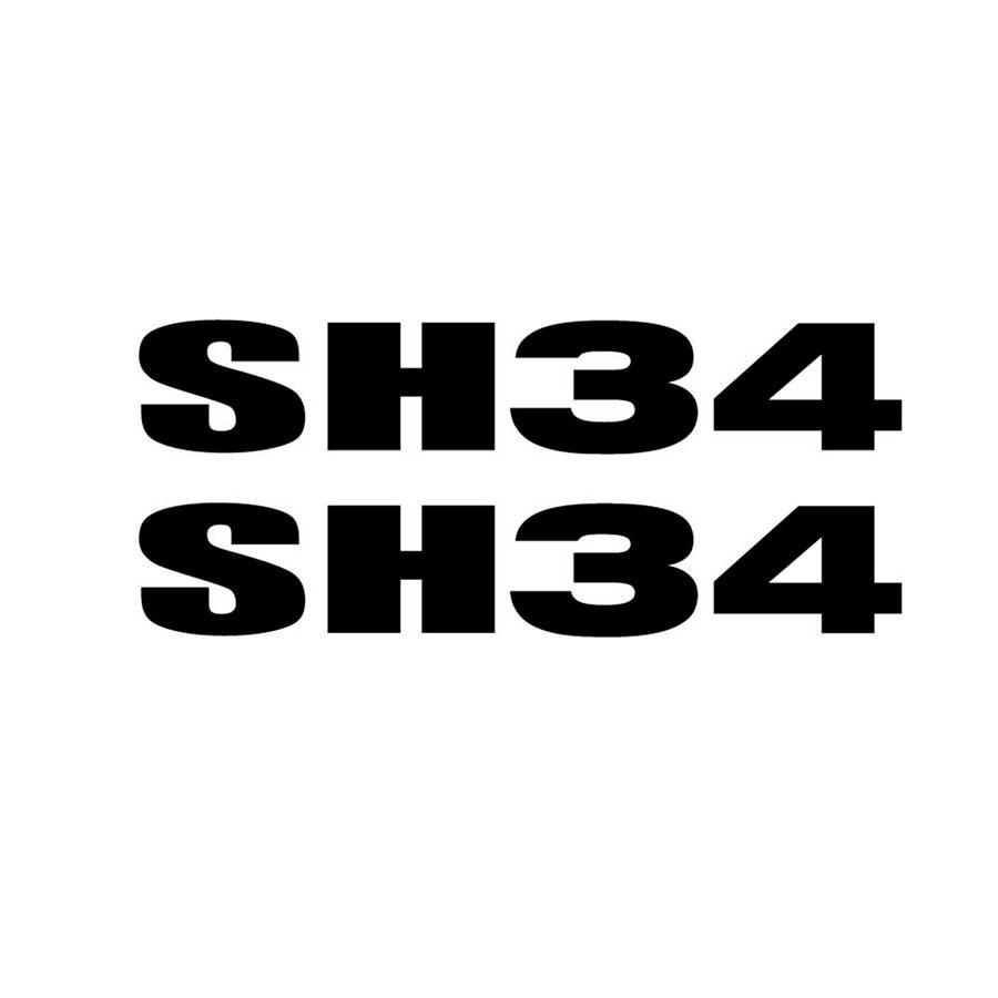 ADHESIVOS SH34 501588R