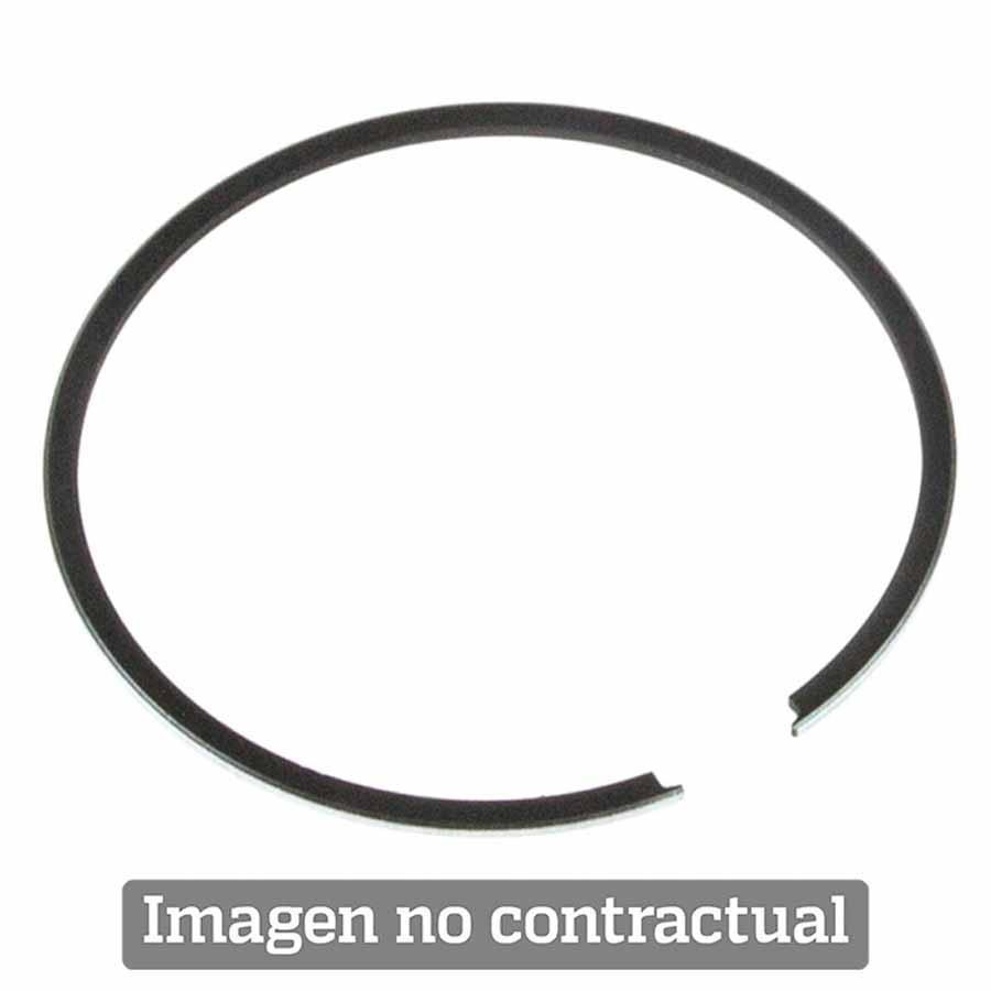SEGMENTOS PROX 02.2319  260137