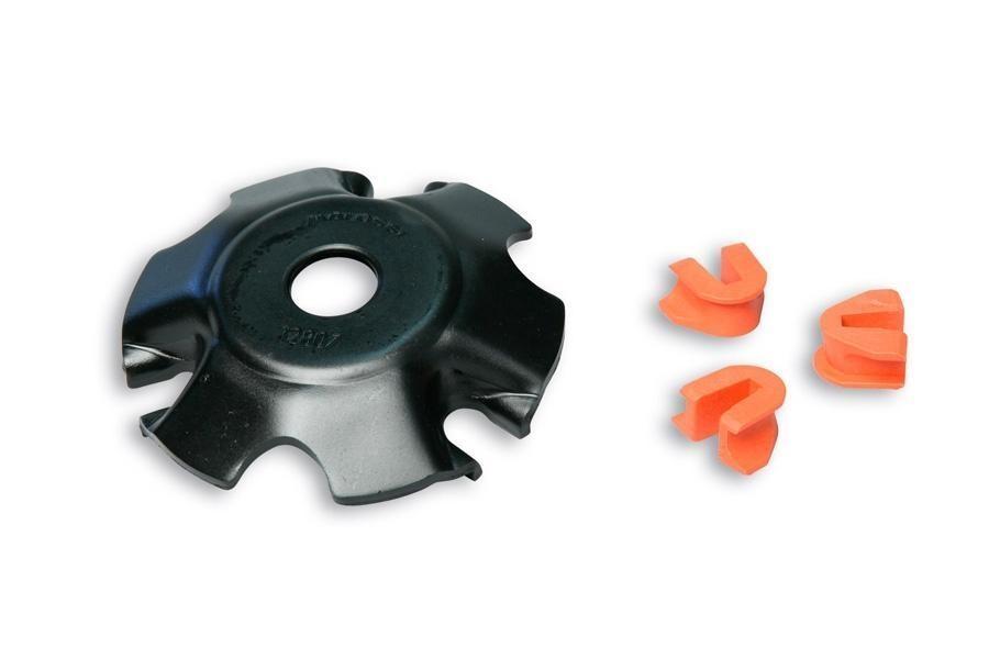 TAPA RAMPAS VARIADOR MALOSSI PARA CIGÜEÑAL 5312810     2512807B