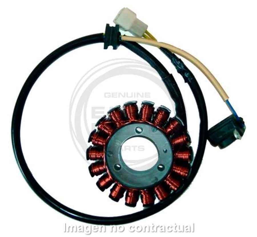 STATOR KOKUSAN 18 POLOS 12V 220W     04168043