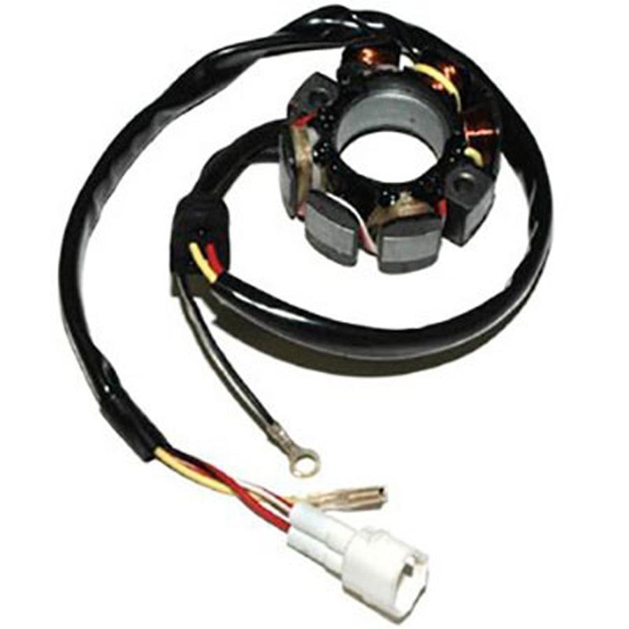 STATOR ELECTROSPORT   17419
