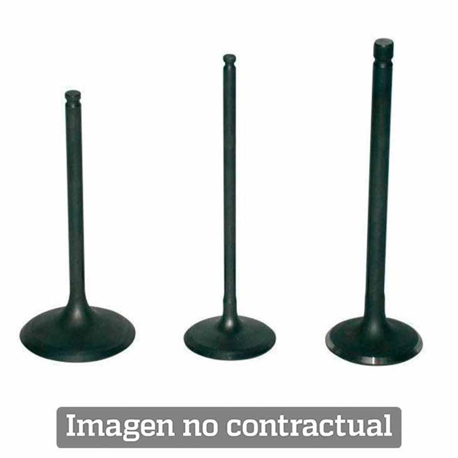VALVULA DE TITANIO PROX  31.00 LONGITUD 79.00  CUELLO 4.50   28.4334-2  84291